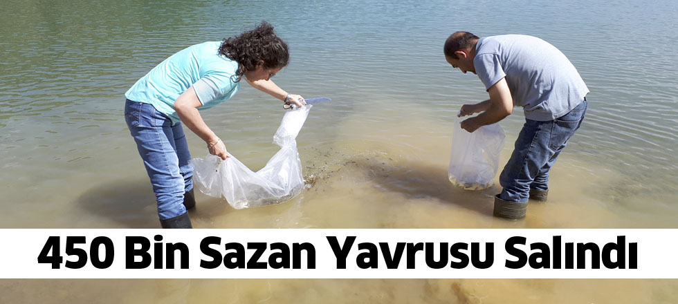 450 Bin Sazan Yavrusu Salındı