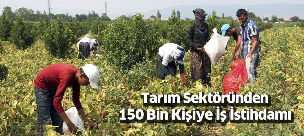 150 Bin Kişiye İş İstihdamı