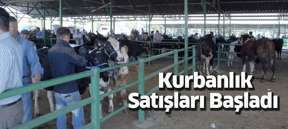 Kurbanlık Satışları Başladı