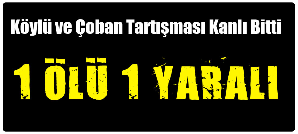 Köylü ve Çoban Tartışması Kanlı Bitti: 1 Ölü 1 Yaralı