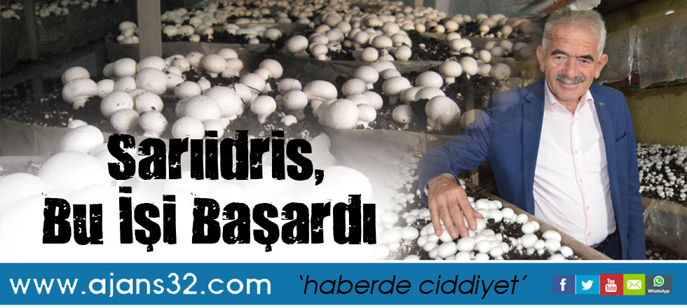 Sarıidris, Bu İşi Başardı