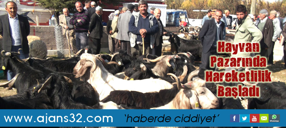 Hayvan Pazarında Hareketlilik Başladı