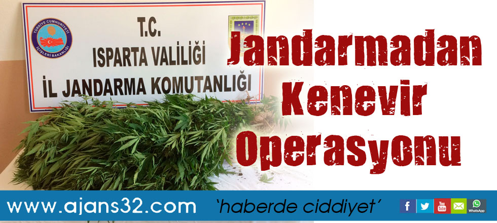 Jandarmadan Kenevir Operasyonu