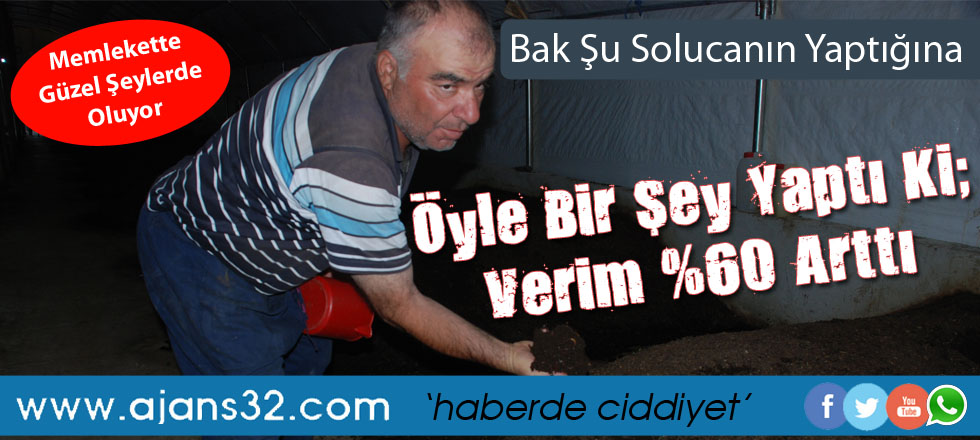Bak Şu Solucanın Yaptığına!