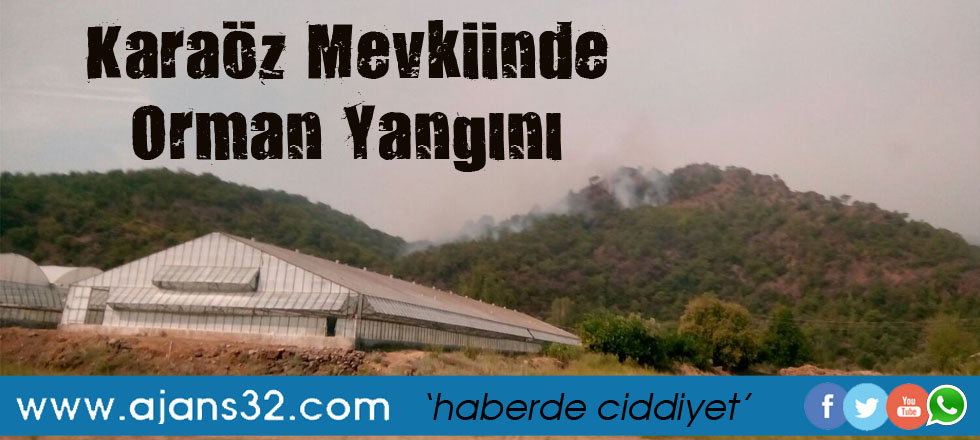 Antalya Yolu'nda Orman Yangını