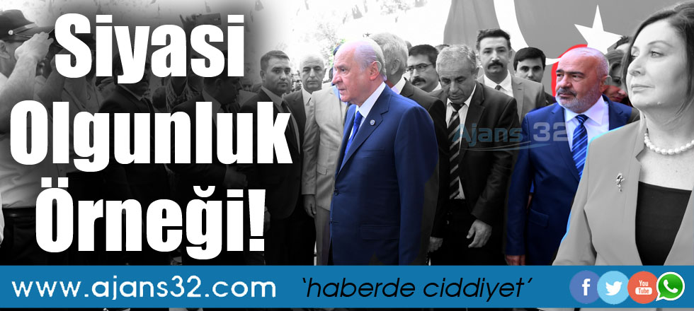 Siyasi Olgunluk Örneği