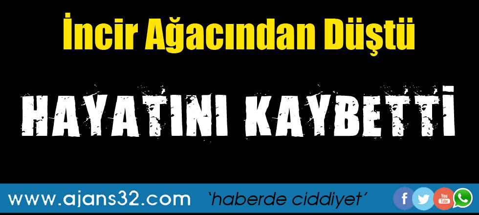 İncir Ağacından Düştü Hayatını Kaybetti