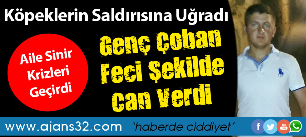 Genç Çoban Köpek Saldırısında Öldü