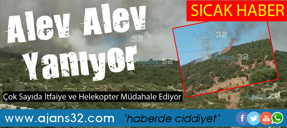 Ormanlık Alan Alev Alev Yanıyor