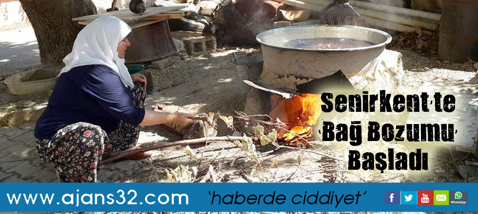 Senirkent’te ‘Bağ Bozumu’  Başladı