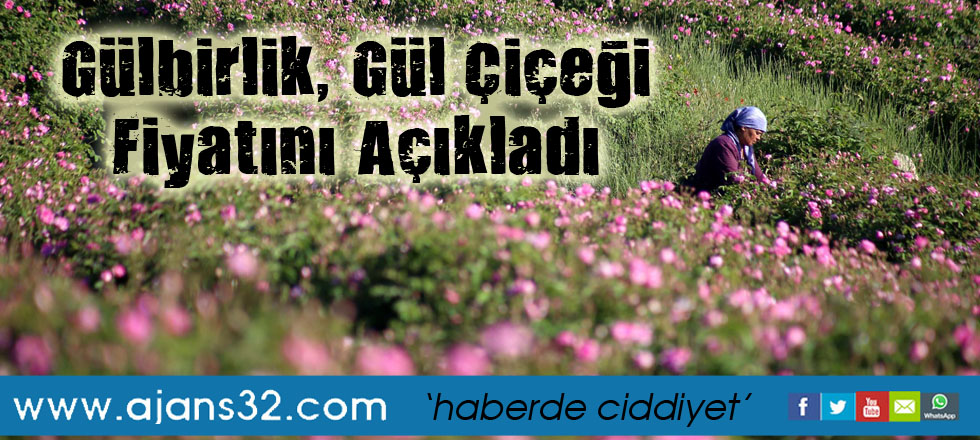 Gülbirlik, Gül Çiçeği Fiyatını Açıkladı
