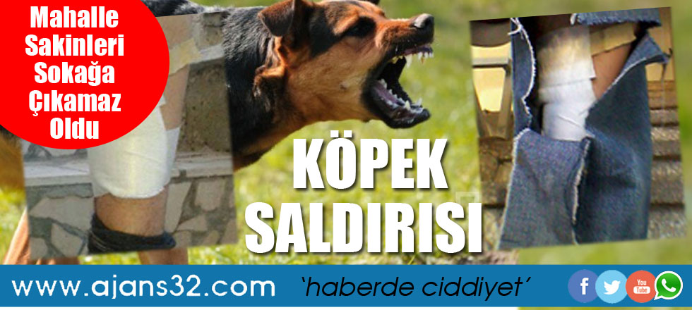 Mahallede Köpek Saldırdı Hastanelik Oldu!