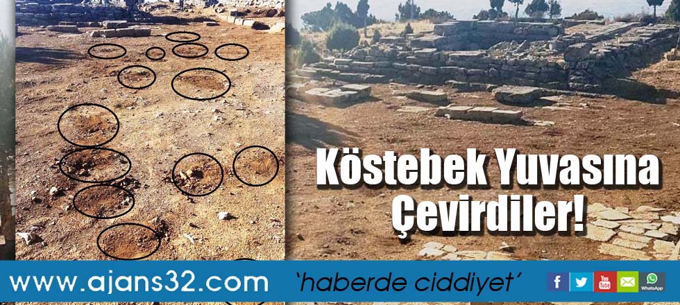 Köstebek Yuvasına Çevirdiler!
