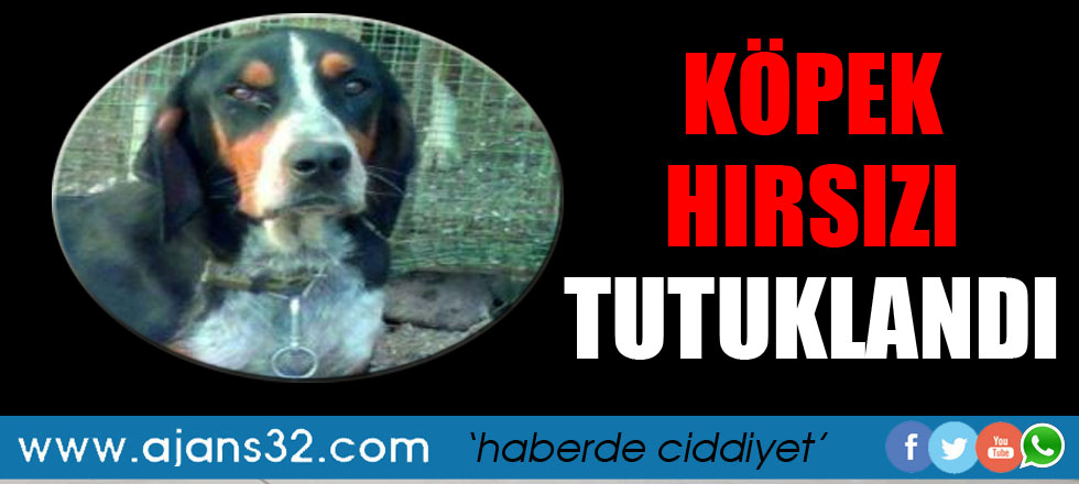 Köpek Hırsızları Yakayı Ele Verdi / 1 Kişi Tutuklandı