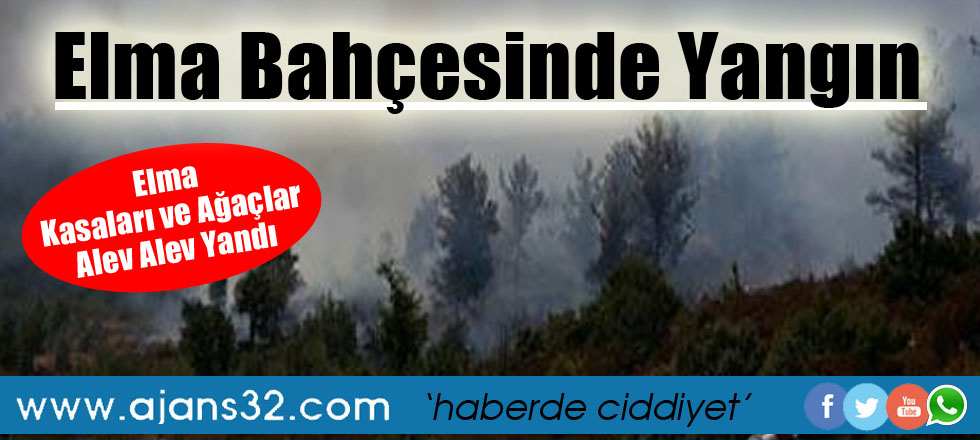 Elma Bahçesi’nde Yangın / Ağaçlar ve Plastik Kasalar Alev Alev Yandı