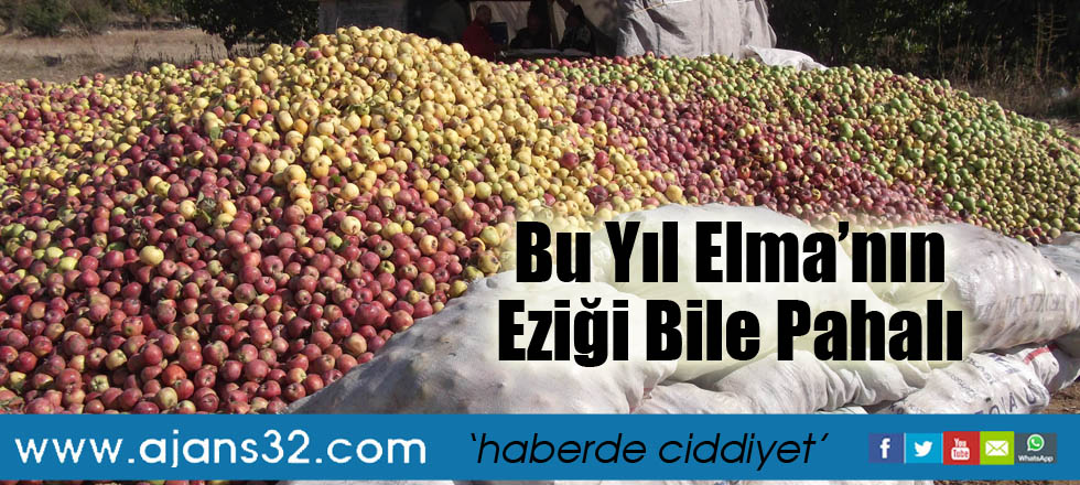 Bu Yıl Elma’nın Eziği Bile Pahalı