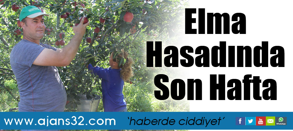 Elma Hasadında Son Hafta