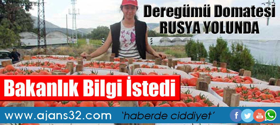 Deregümü Domatesi Rusya Yolunda / Bakanlık Bilgi İstedi