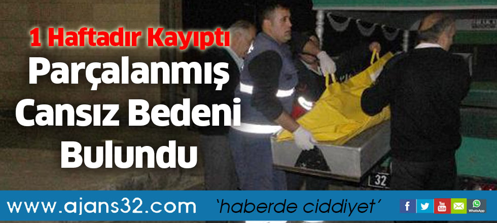 Parçalanmış Cansız Bedeni Bulundu