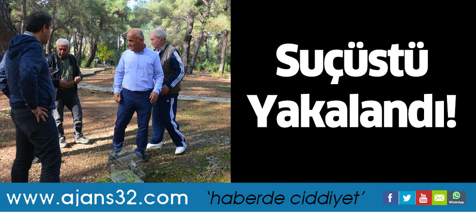 Suçüstü Yakalandı!