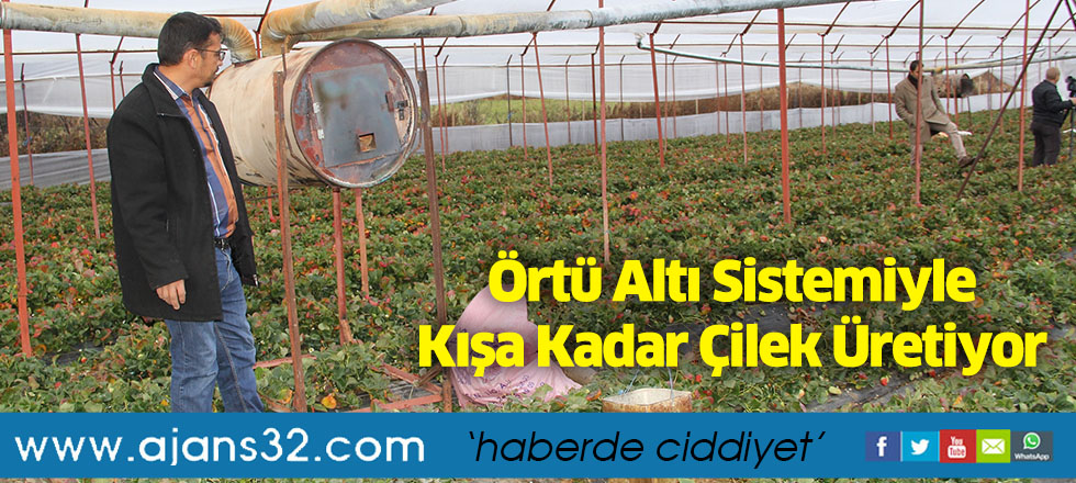 Örtü Altı Sistemiyle Kışa Kadar Çilek Üretiyor