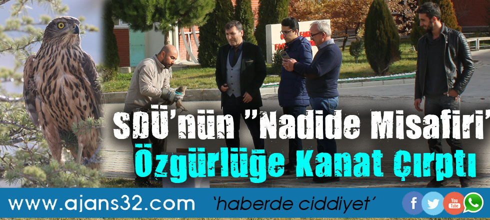 SDÜ'nün ''Nadide Misafiri'' Özgürlüğe Kanat Çırptı