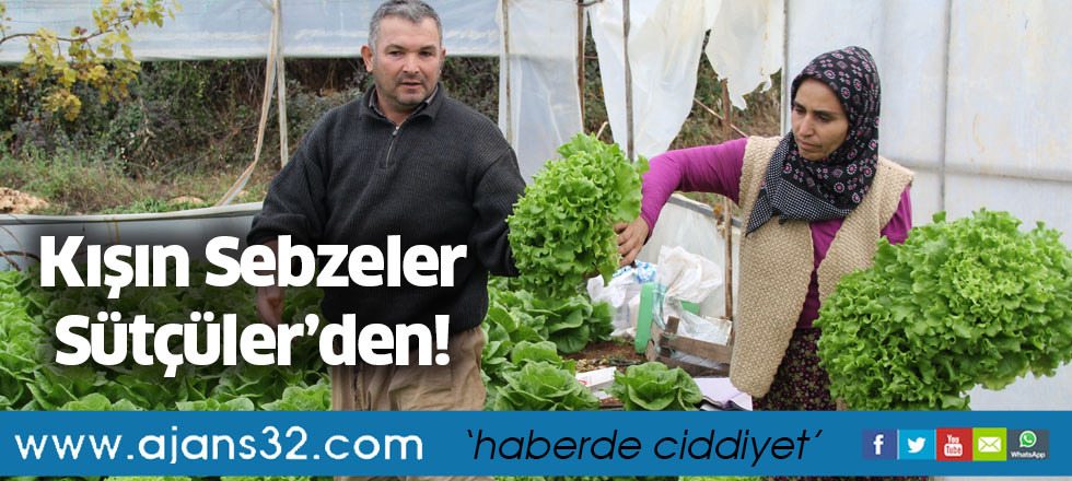 Kışın Sebzeler Sütçüler’den!