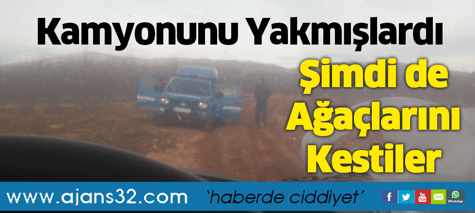 Kamyonunu Yakmışlardı Şimdi de Ağaçlarını Kestiler