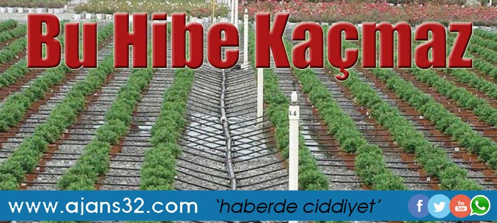 Bu Hibe Kaçmaz!