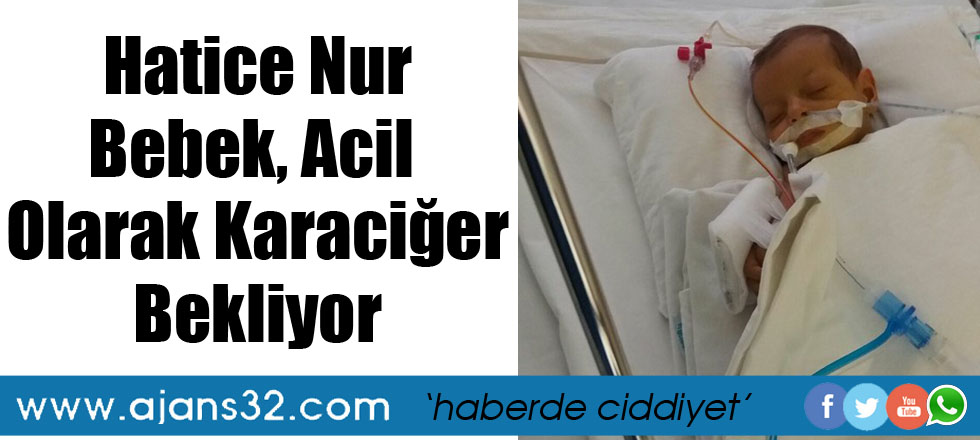 Hatice Nur Bebek, Acil Olarak Karaciğer Bekliyor