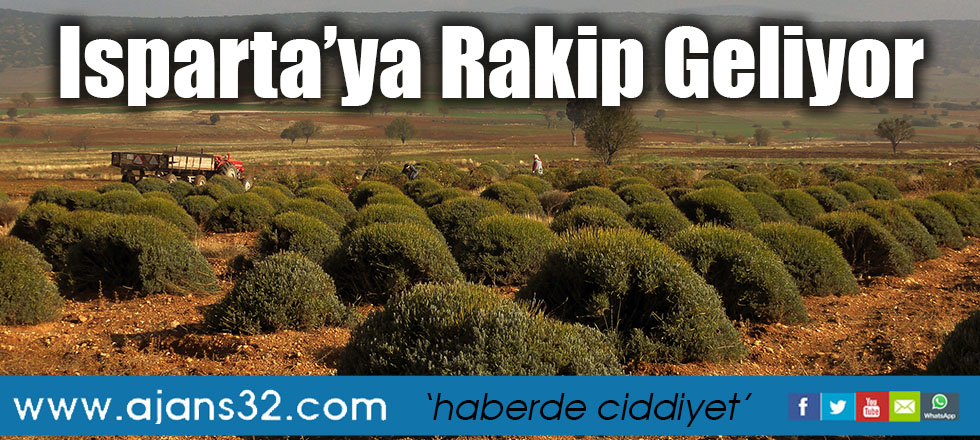 Isparta’ya Rakip Geliyor