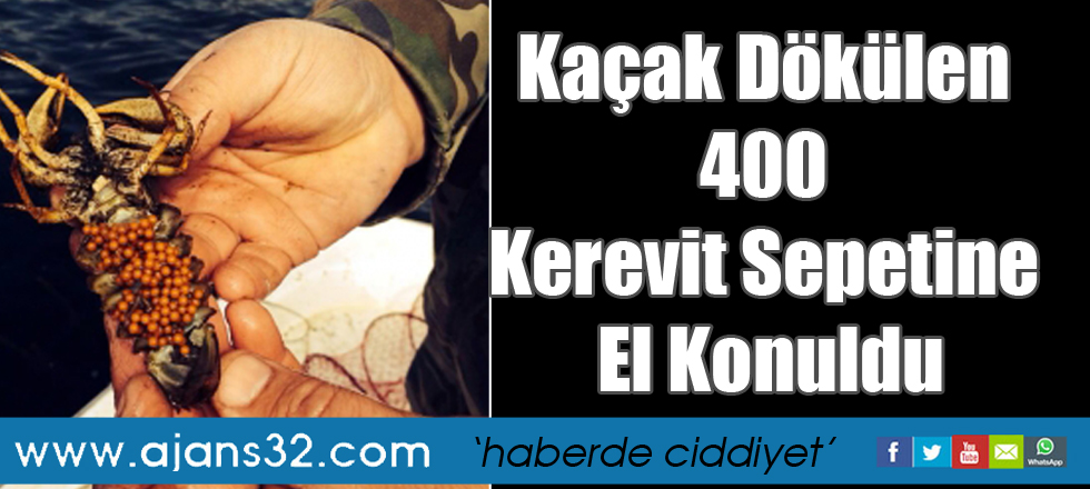 Kaçak dökülen 400 kerevit sepetine el konuldu