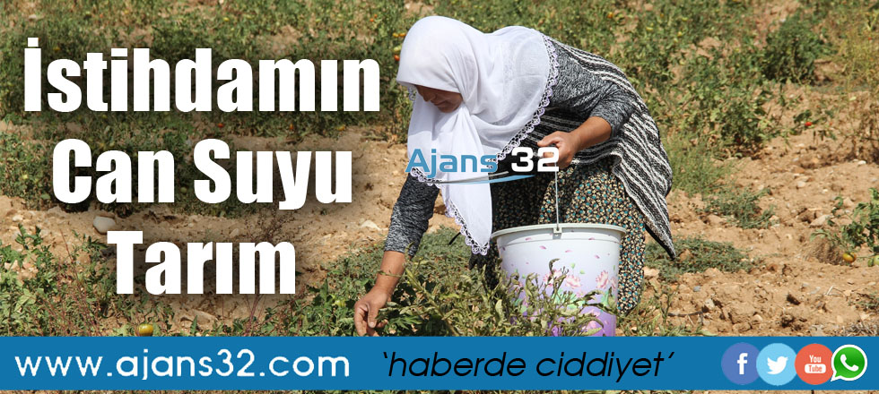 İstihdamın Can Suyu Tarım