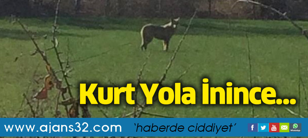 Kurt Yola İnince…