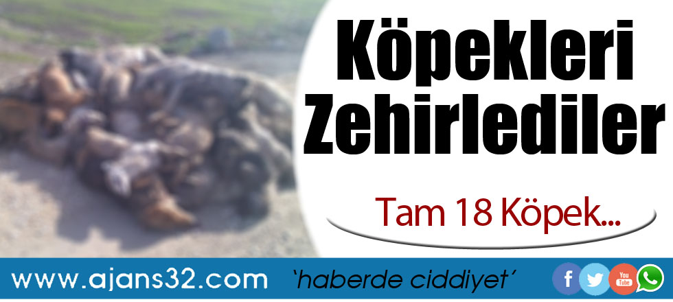 Köpekleri Zehirlediler!