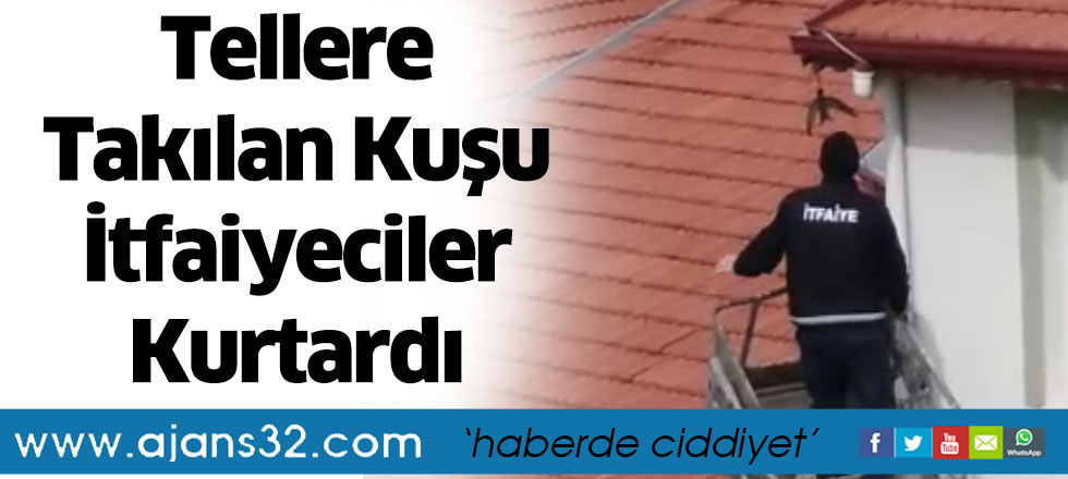 Tellere Takılan Kuşu İtfaiyeciler Kurtardı