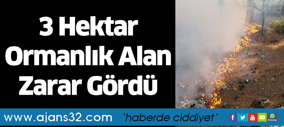 3 Hektar Ormanlık Alan Zarar Gördü