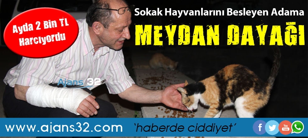 Sokak Hayvanlarını Besleyen Adama Meydan Dayağı!