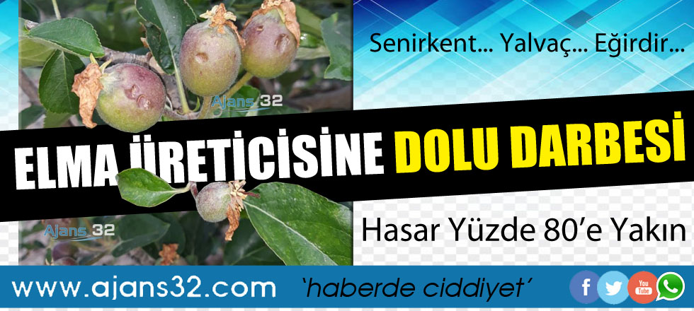 Elma Üreticisine Dolu Darbesi!