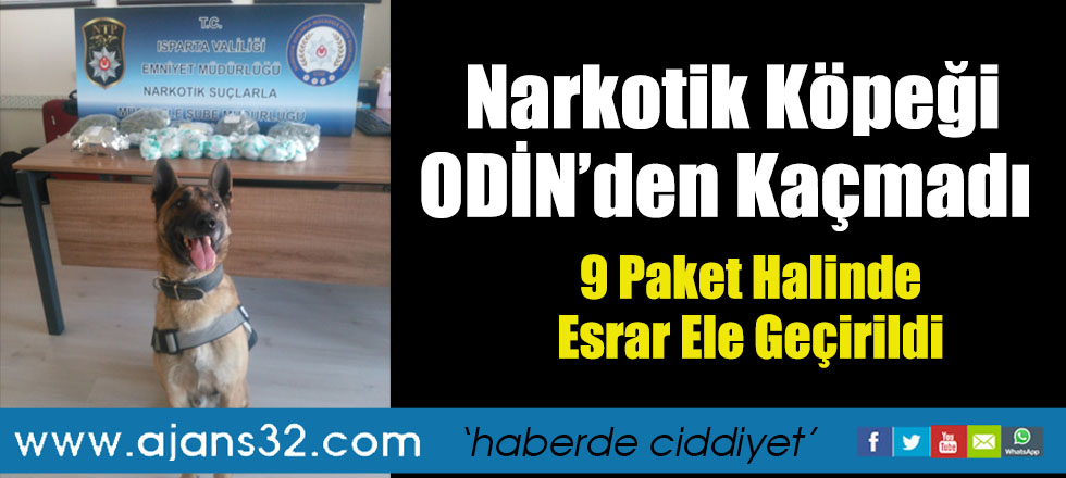 Narkotik Köpeği ODİN’den Kaçmadı