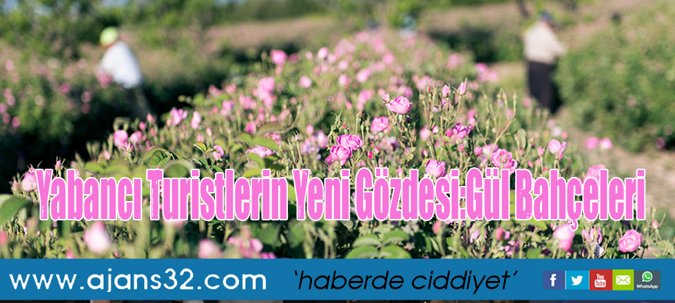 Yabancı Turistlerin Yeni Gözdesi:Gül Bahçeleri