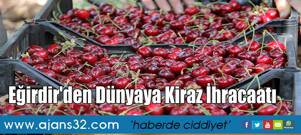 Eğirdir'den Dünyaya Kiraz İhracaatı