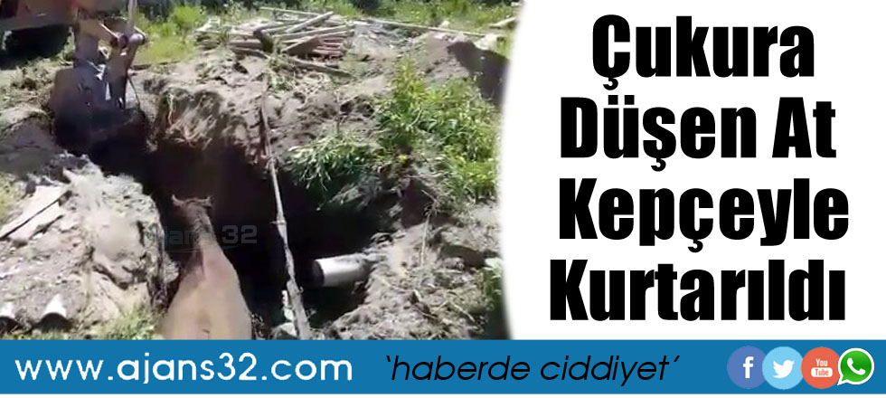 Çukura Düşen At Kepçeyle Kurtarıldı