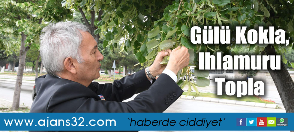 Gülü Kokla, Ihlamuru Topla