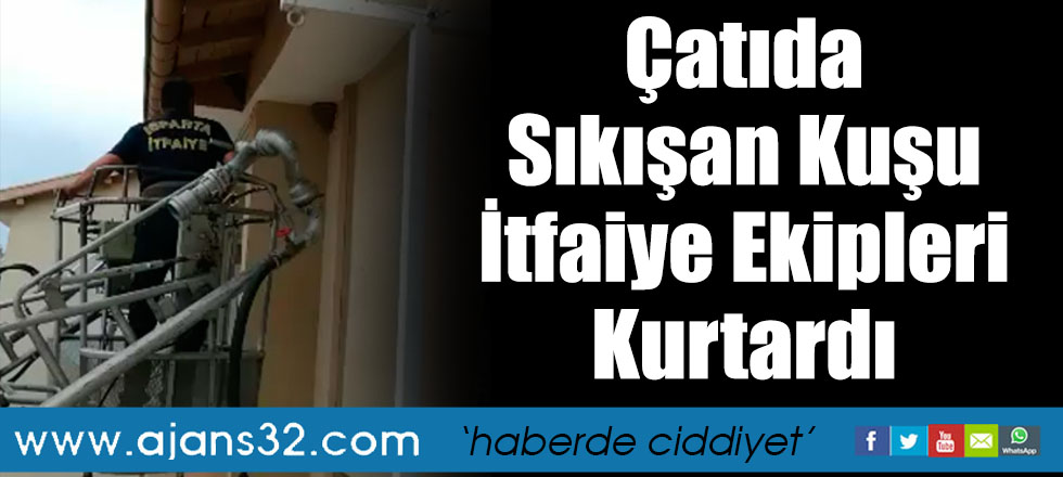 Çatıda Sıkışan Kuşu İtfaiye Kurtardı
