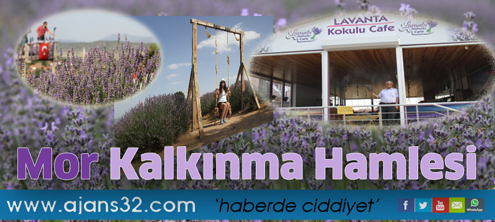 Mor Kalkınma Hamlesi