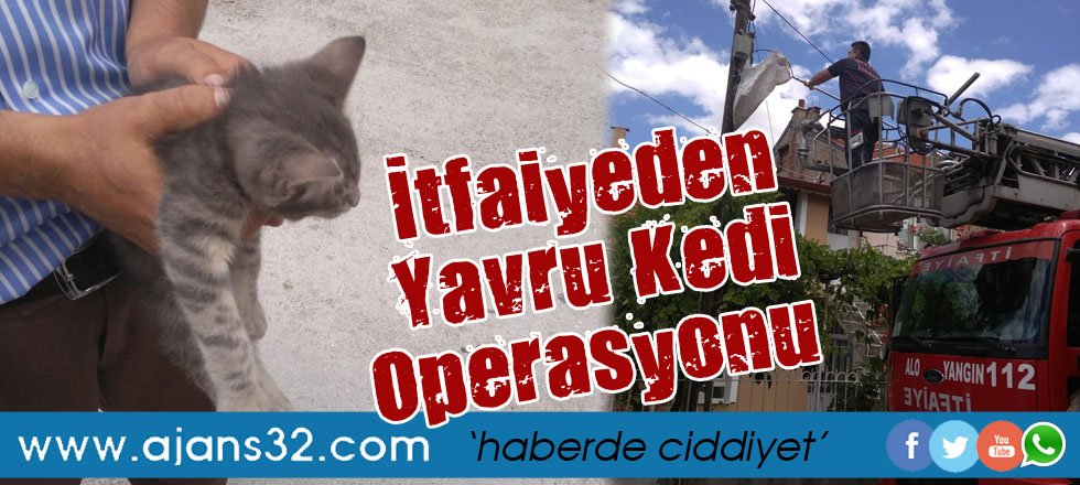 İtfaiyeden Yavru Kedi Operasyonu