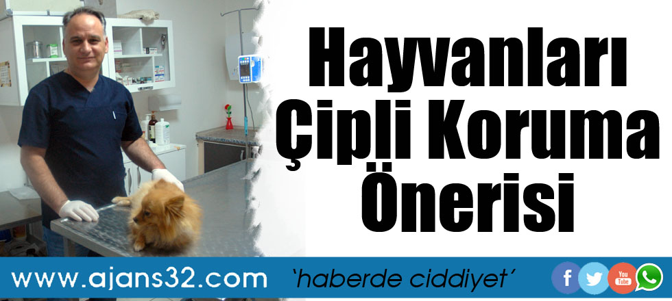 Hayvanları Çipli Koruma Önerisi