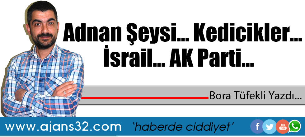 Adnan Şeysi… Kedicikler… İsrail… AK Parti…