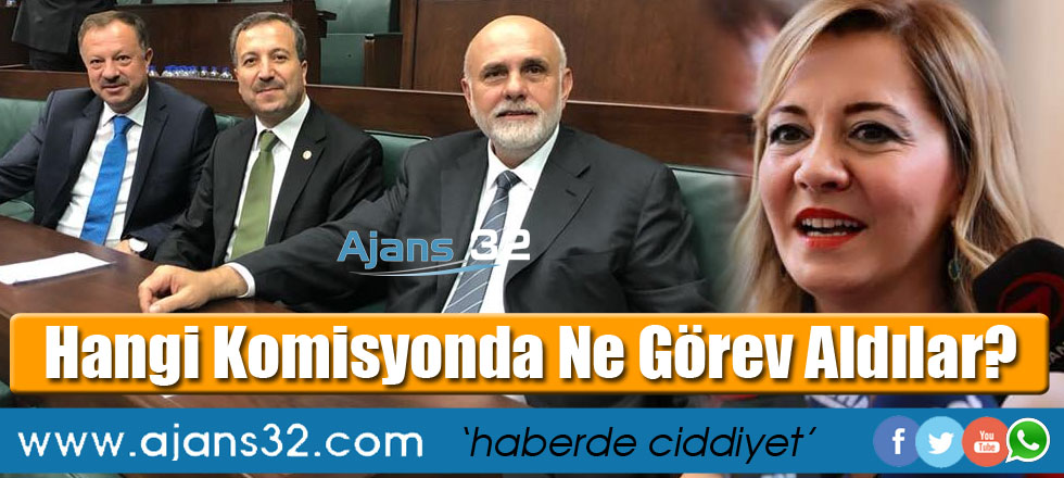 Hangi Komisyonda Ne Görev Aldılar?
